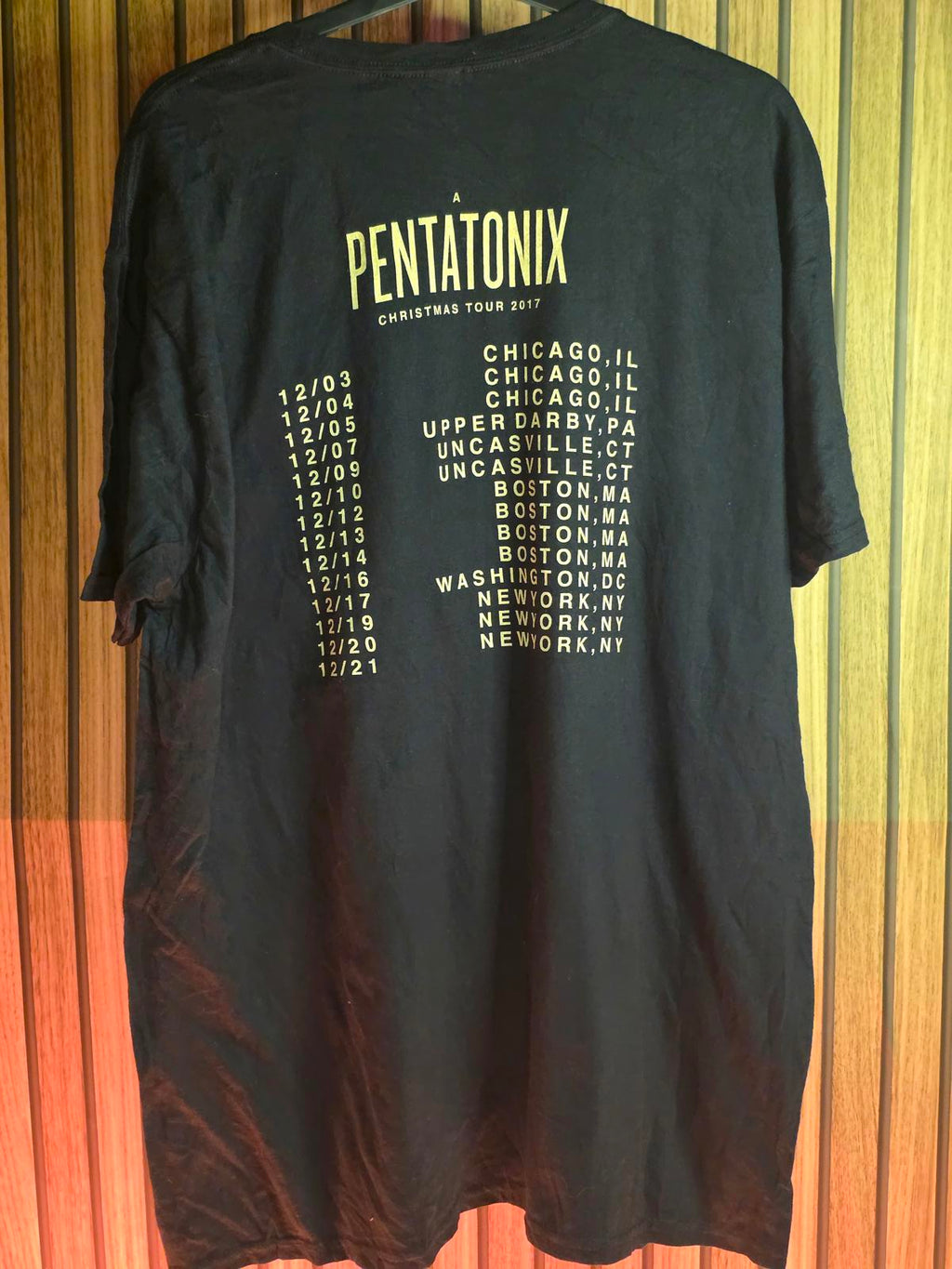 Gildan Pentatonix Christmas Tour 2017 Graphic T-Shirt Black XL
