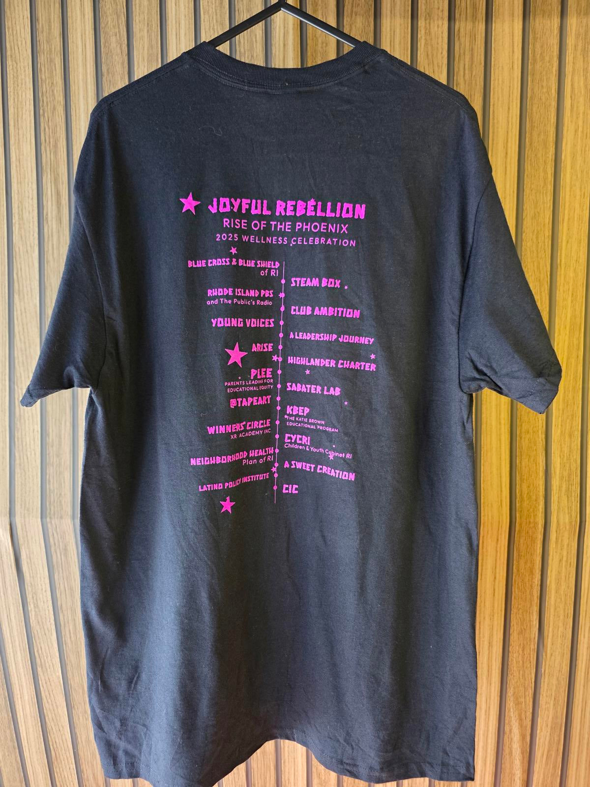 Gildan Joyful Rebellion Rise of the Phoenix Graphic T-Shirt Black M