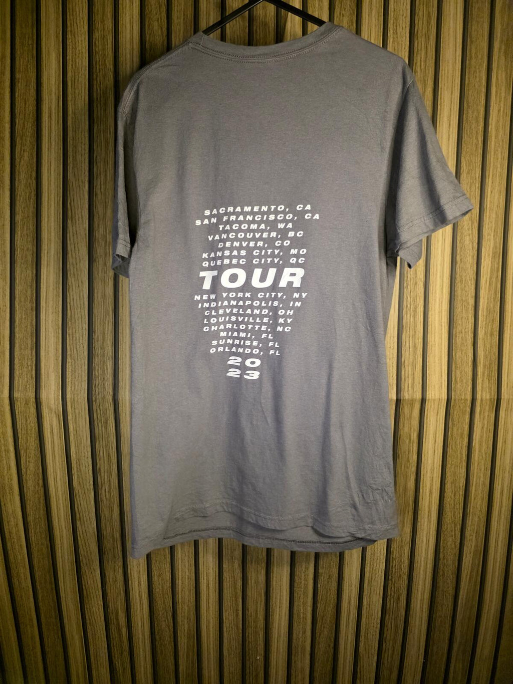 Pink Tour Graphic T-Shirt Grey Size Small