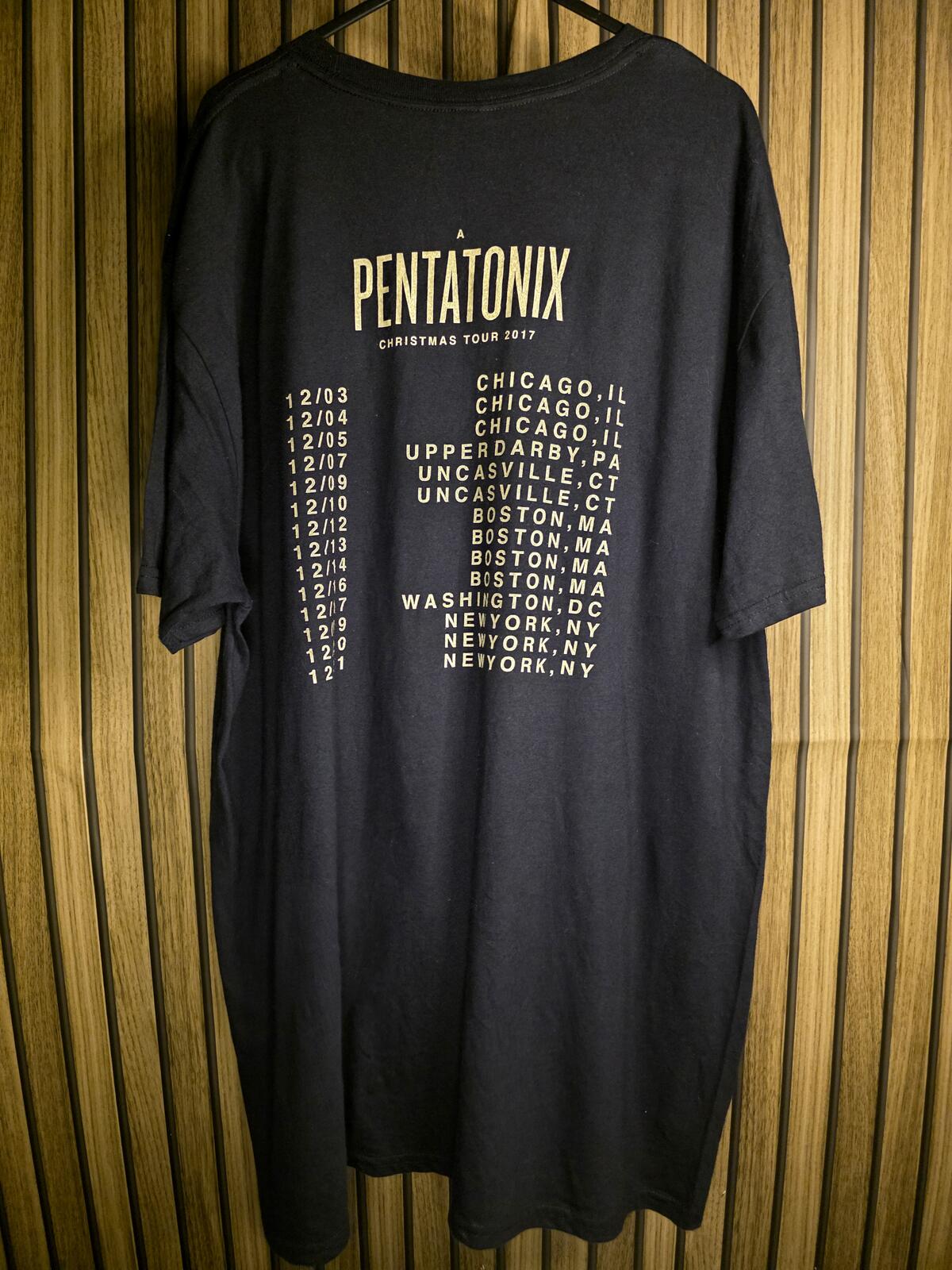 Gildan Pentatonix Graphic T-shirt Black XL