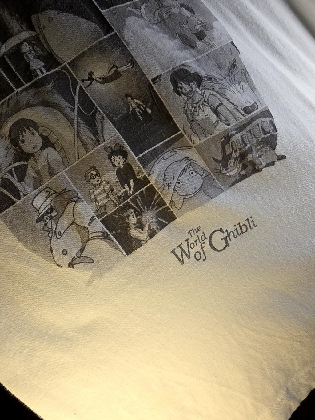 Studio Ghibli The World of Ghibli Graphic T-Shirt White Regular M