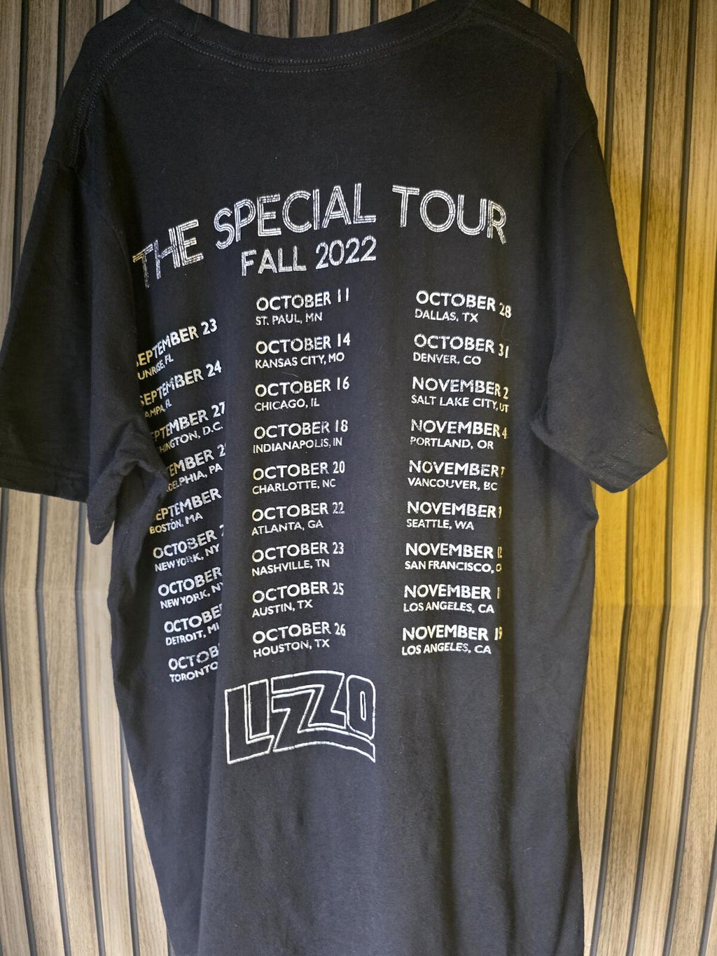 Lizzo The Special Tour Fall 2022 Graphic T-Shirt Black Regular L