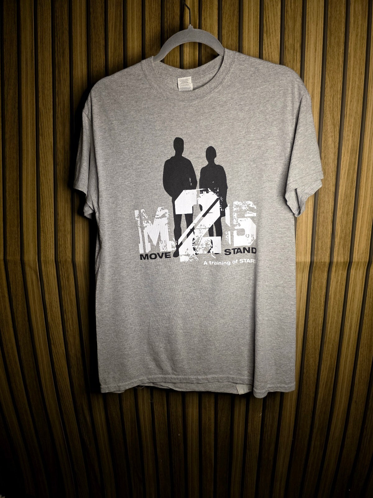 Gildan M2S Move 2 Stand Graphic Grey T-Shirt Medium RAN102