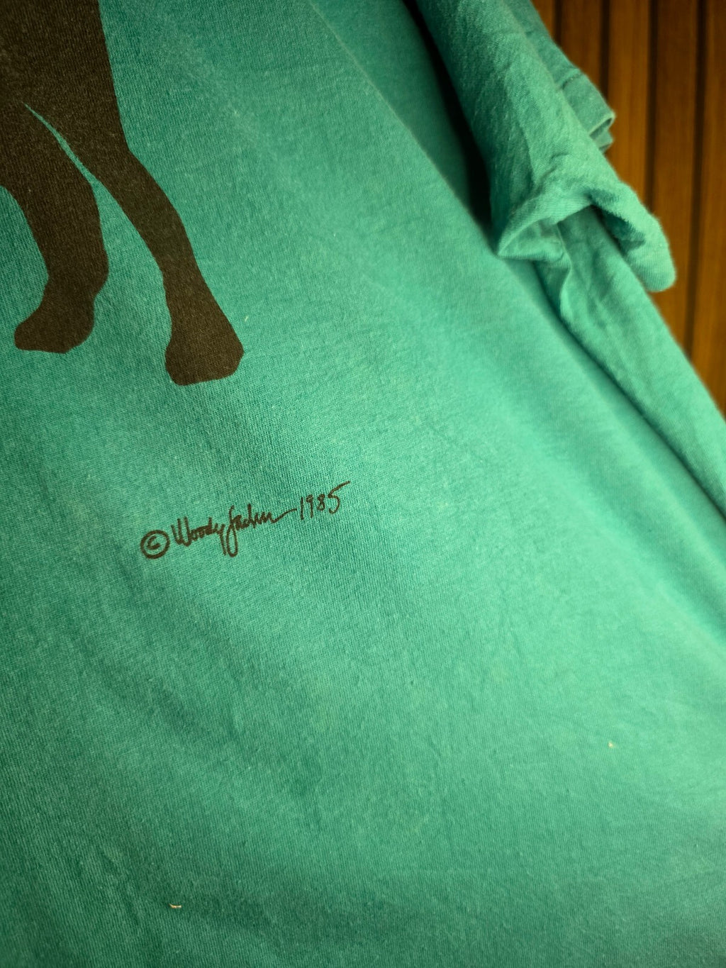 Hanes T-shirt Black Dog Graphic Teal XL MX426