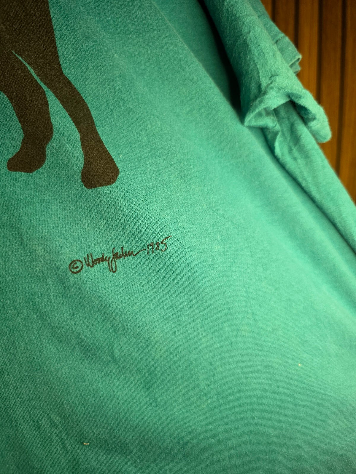 Hanes T-shirt Black Dog Graphic Teal XL MX426