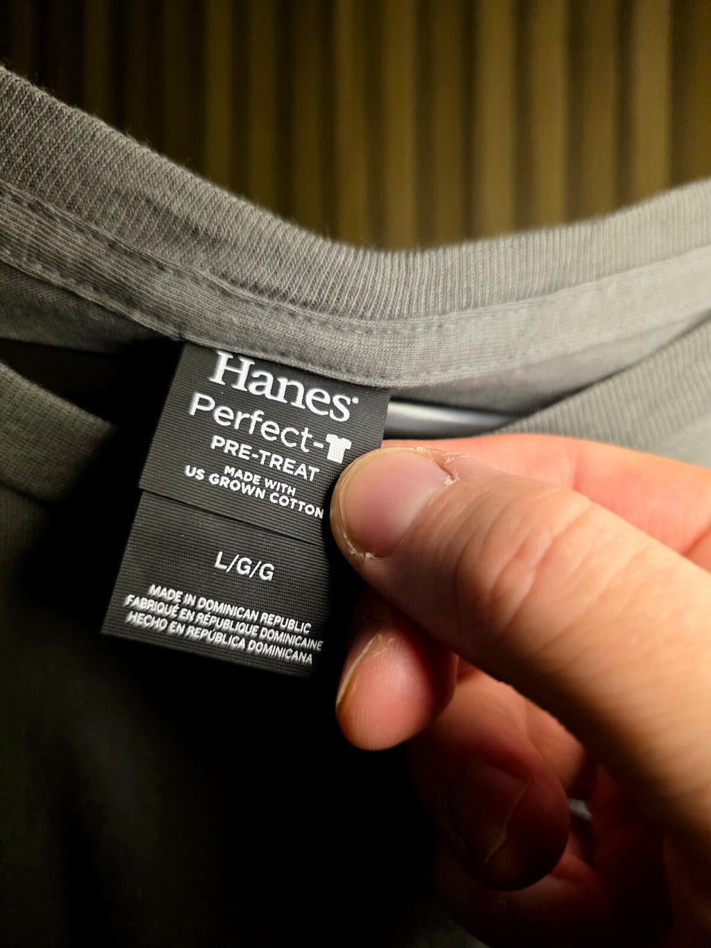 Hanes Santa Rosa Car Care T-Shirt Gray LG/G MX533