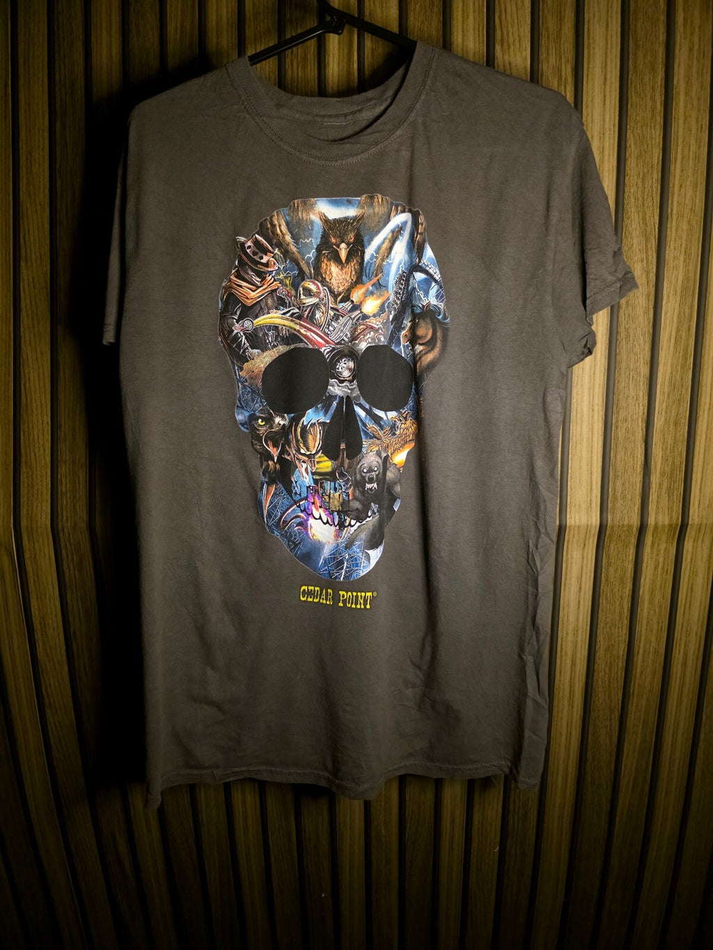 Cedar Point Skull Graphic T-Shirt Grey MX680