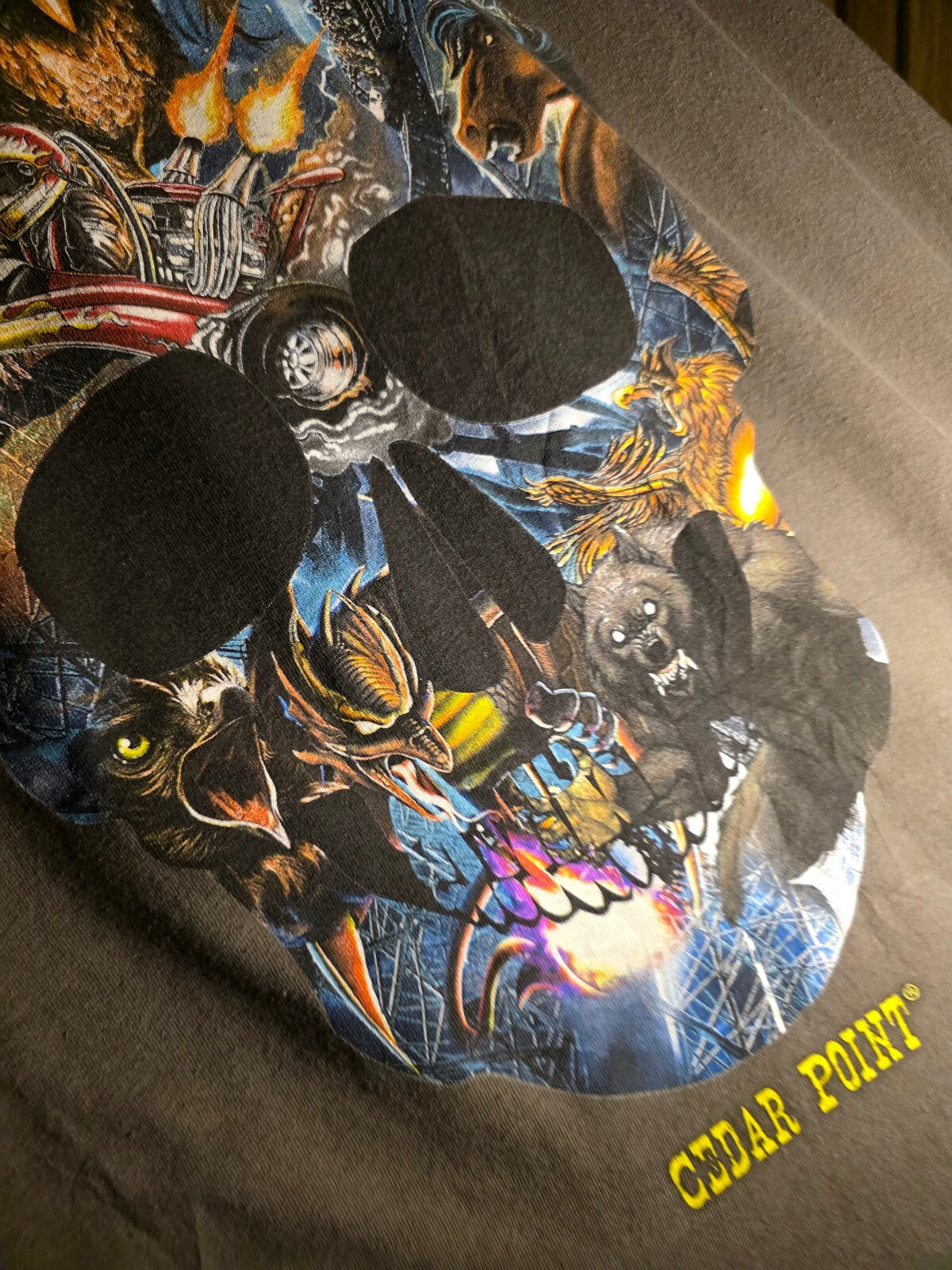 Cedar Point Skull Graphic T-Shirt Grey MX680