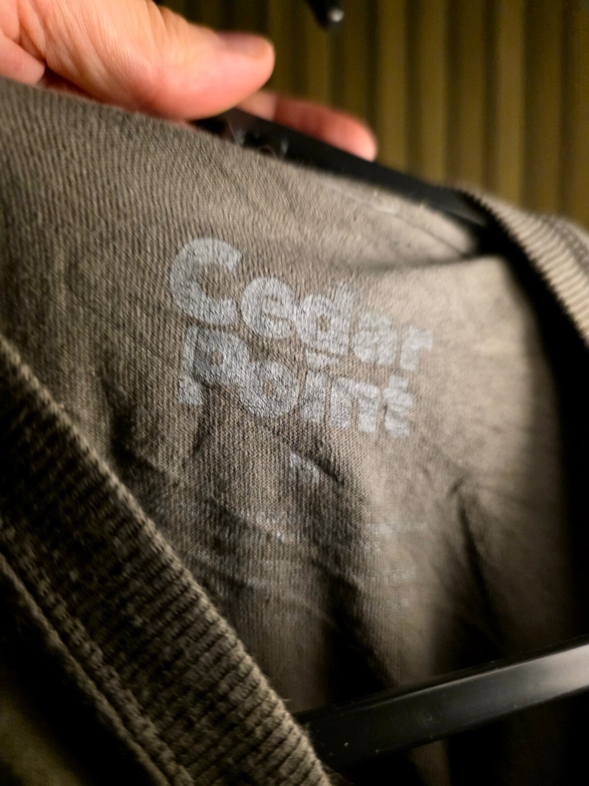 Cedar Point Skull Graphic T-Shirt Grey MX680