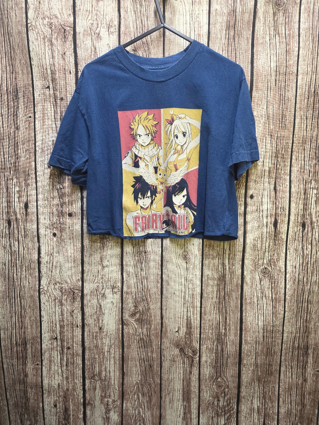 Fairy Tail Cropped T Shirt Blue AN1059