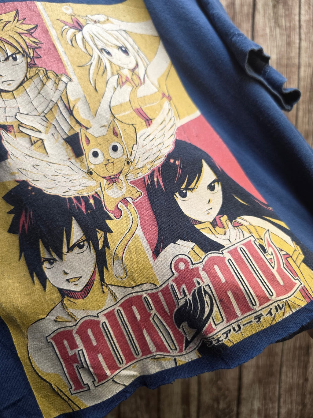 Fairy Tail Cropped T Shirt Blue AN1059