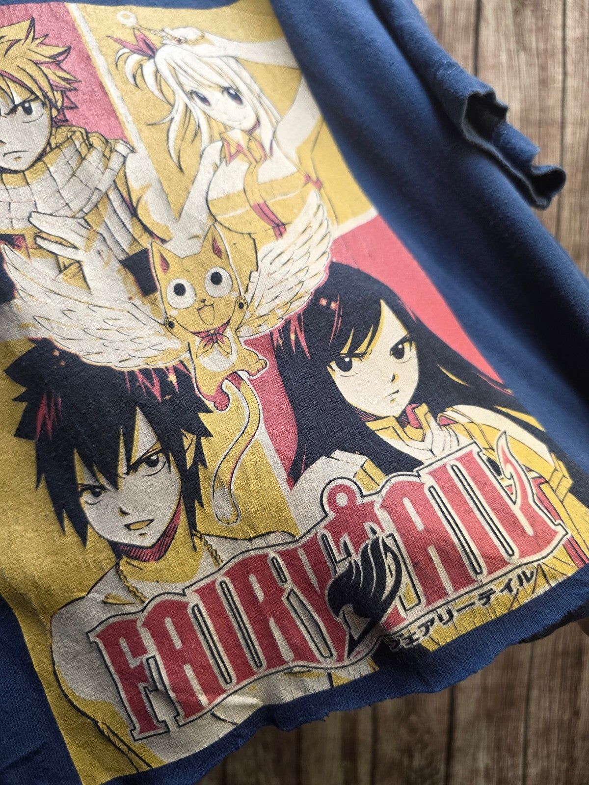 Fairy Tail Cropped T Shirt Blue AN1059