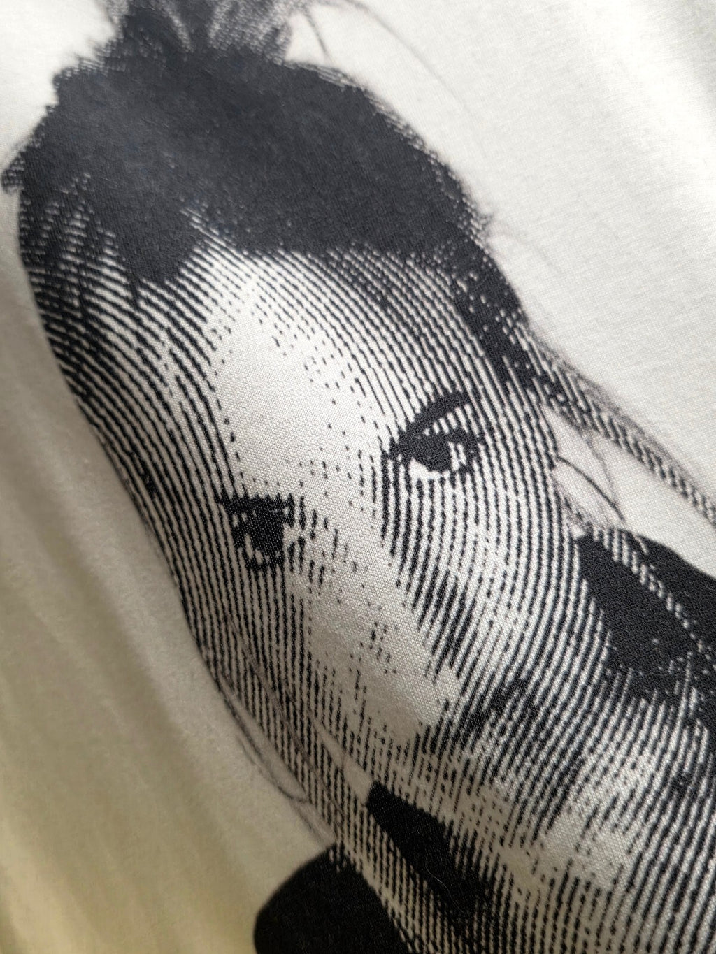Wren Portrait T Shirt White MX851