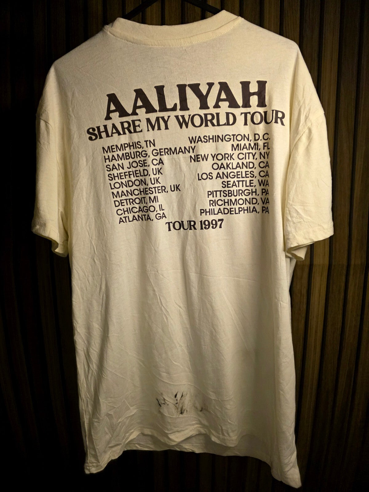 Aaliyah Share My World Tour 1997 Graphic T-Shirt Cream Medium